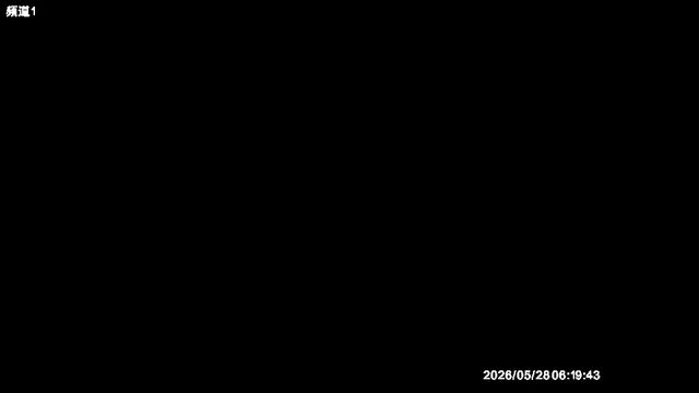 Live webcam screenshot